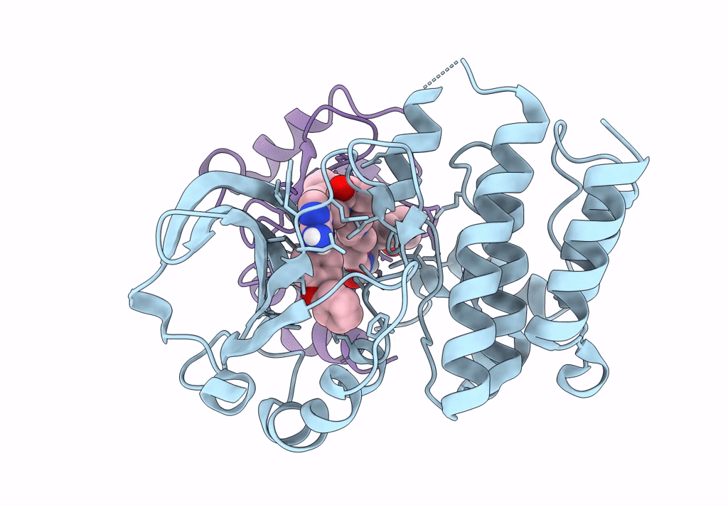 8DSO image