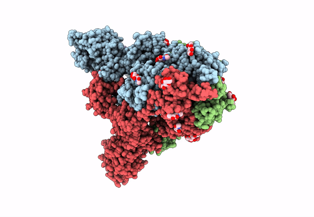 8DT8 image