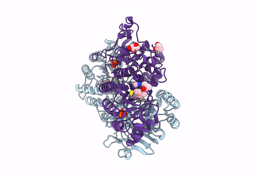 8DTJ image