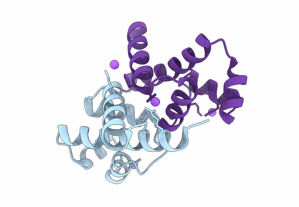 8DTQ image