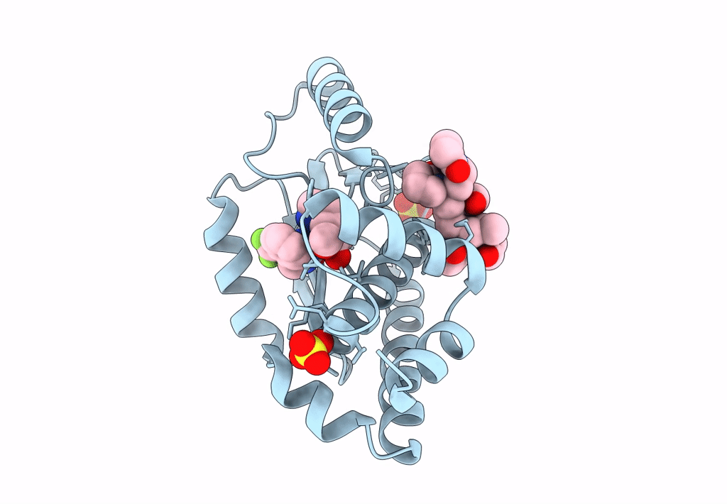 8DVO image