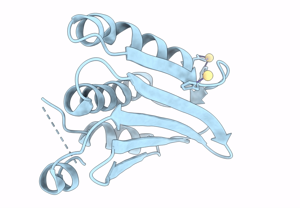 8DVQ image