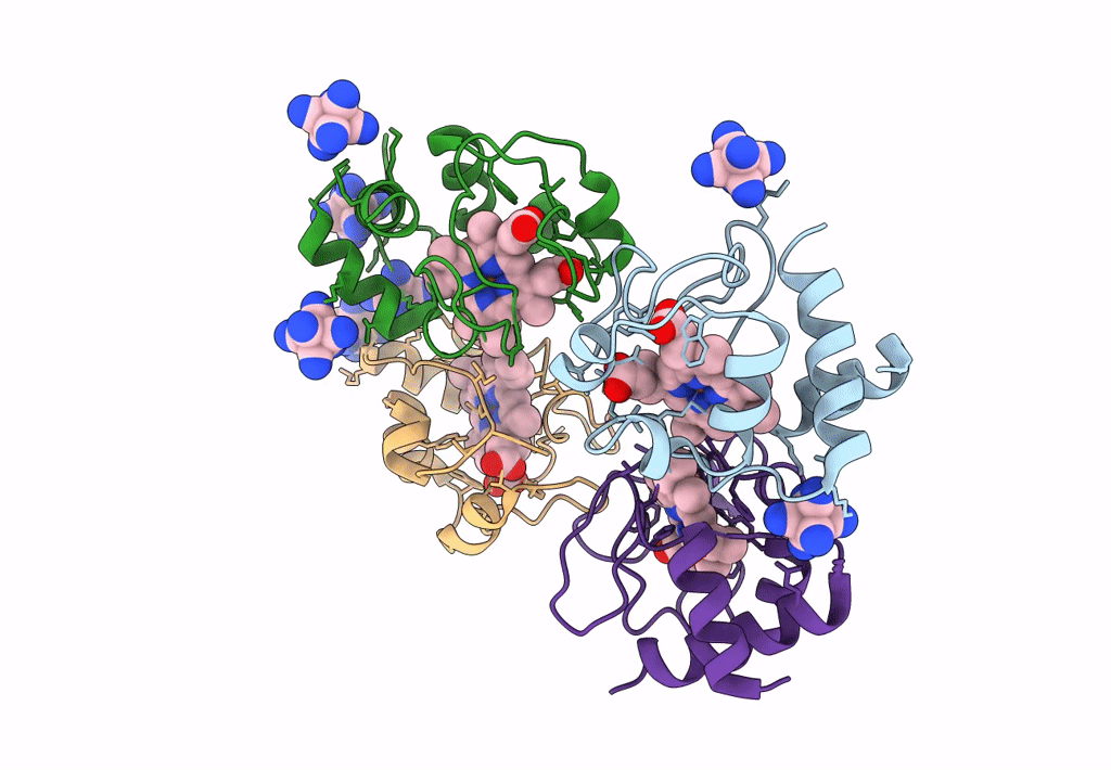 8DVX image