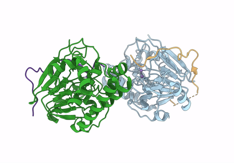 8DWK image