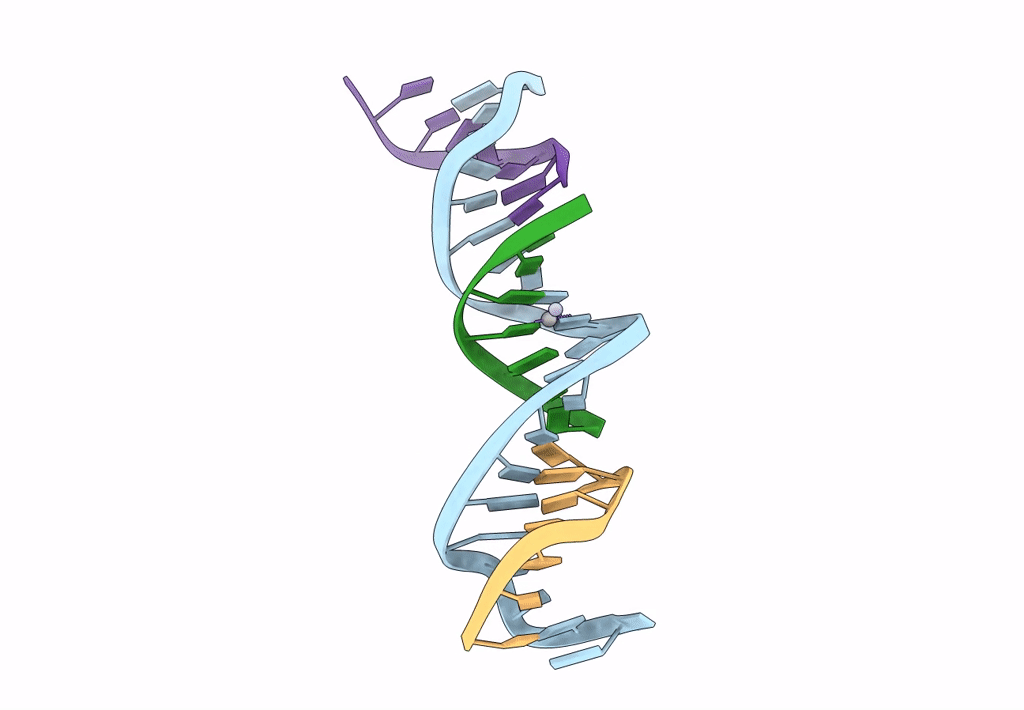 8DX1 image