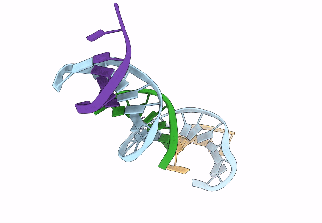 8DX9 image