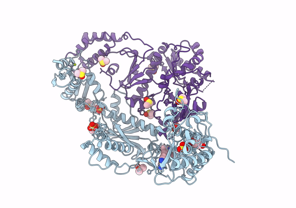 8DXM image