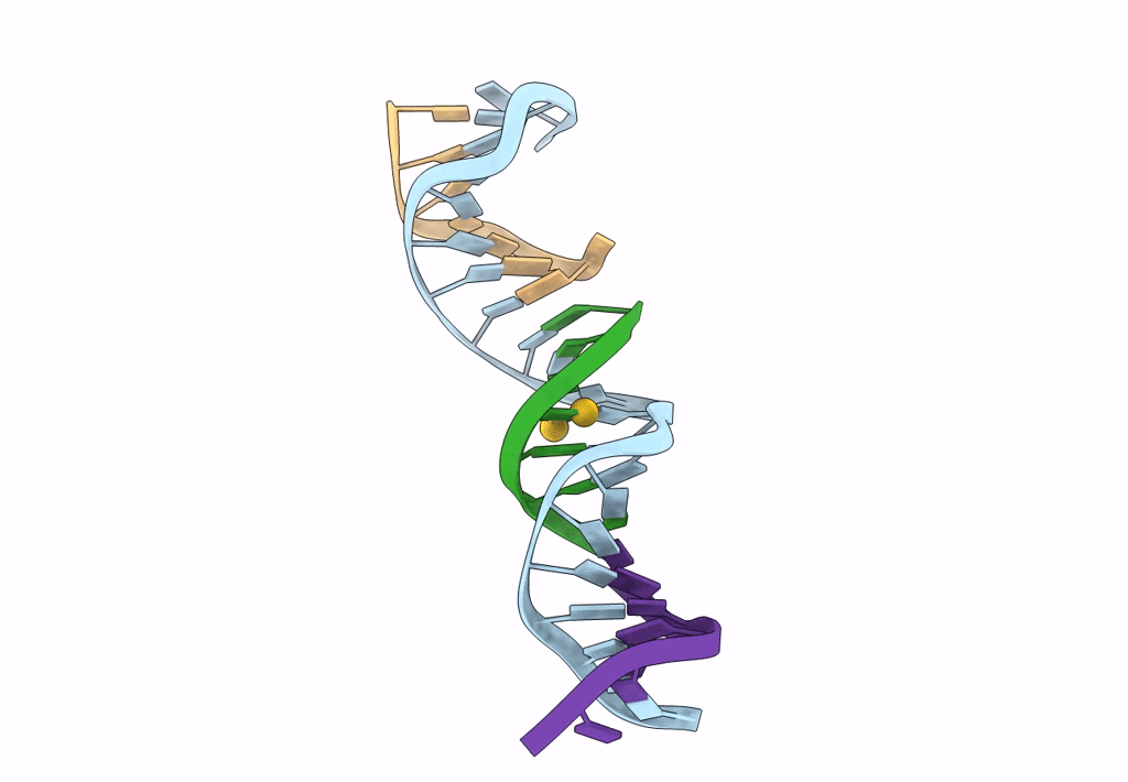 8DXX image