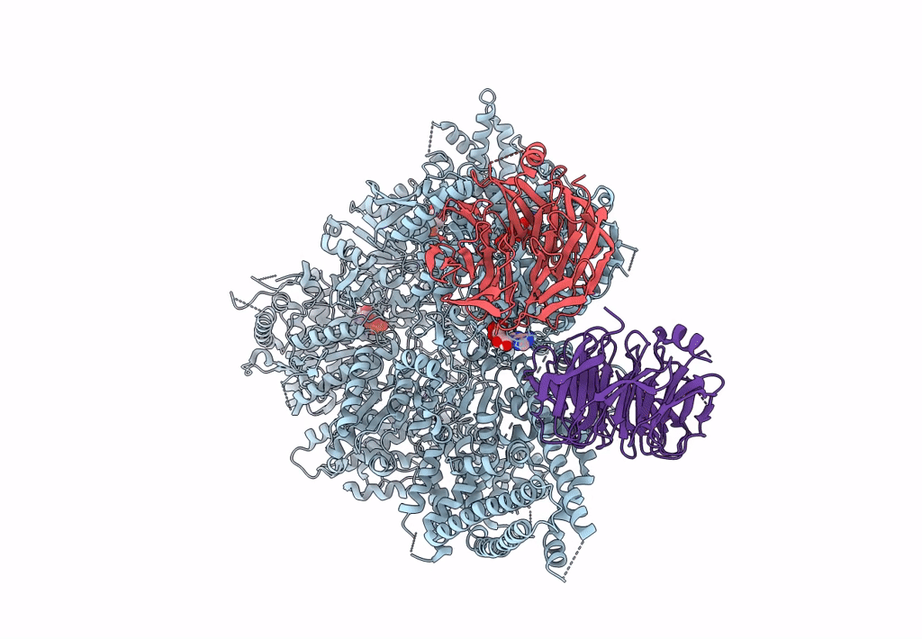 8DYU image