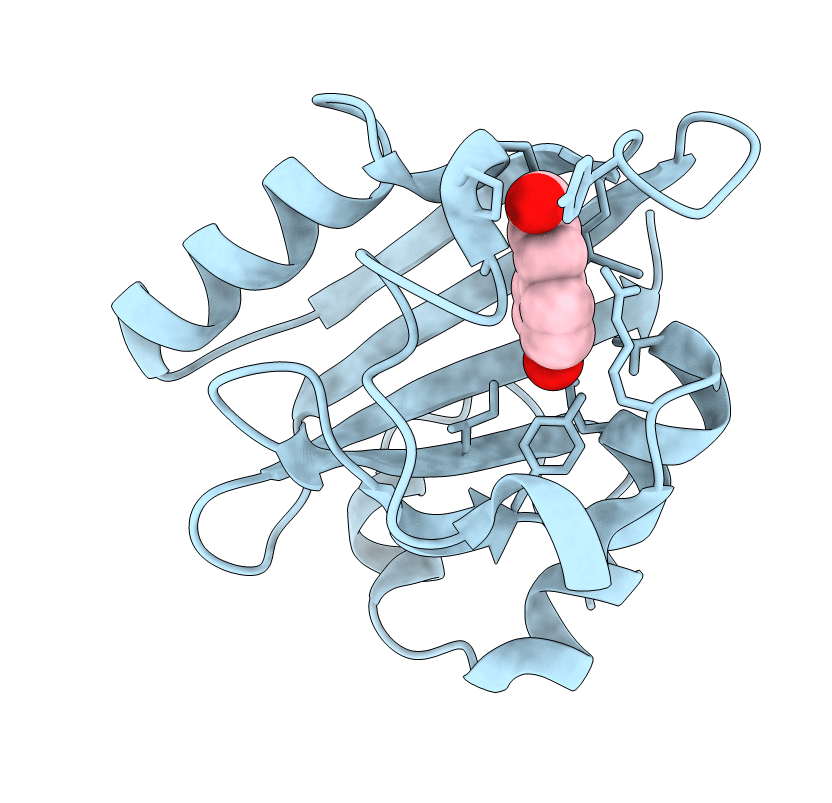 8DZX image