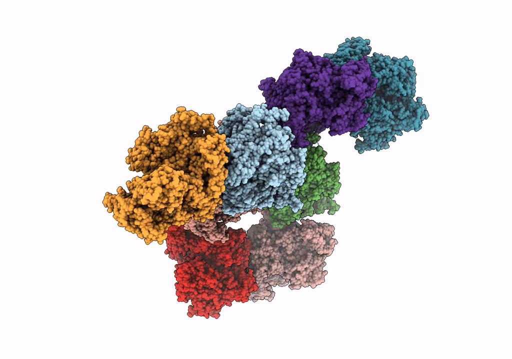 8E1U image