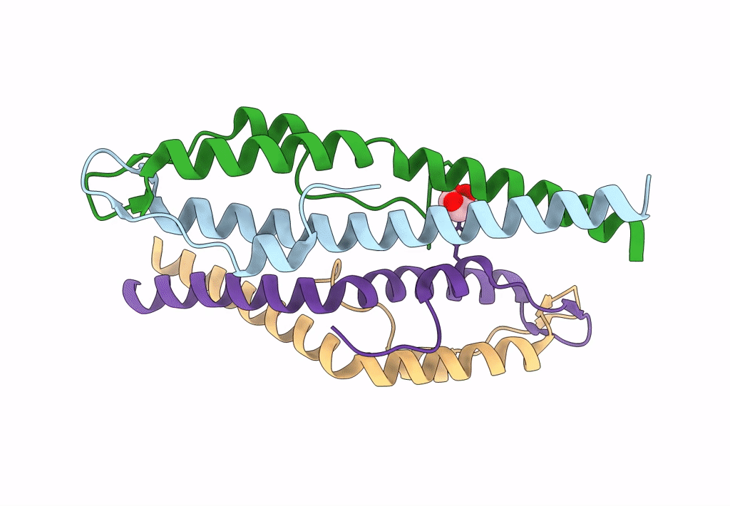 8E2B image