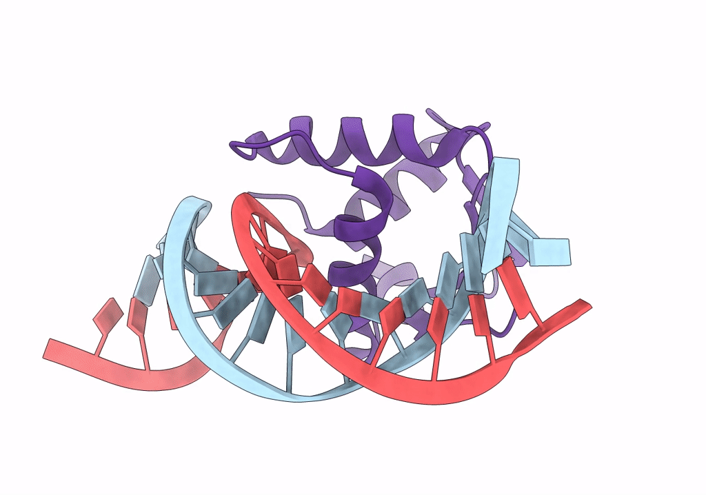 8E3R image