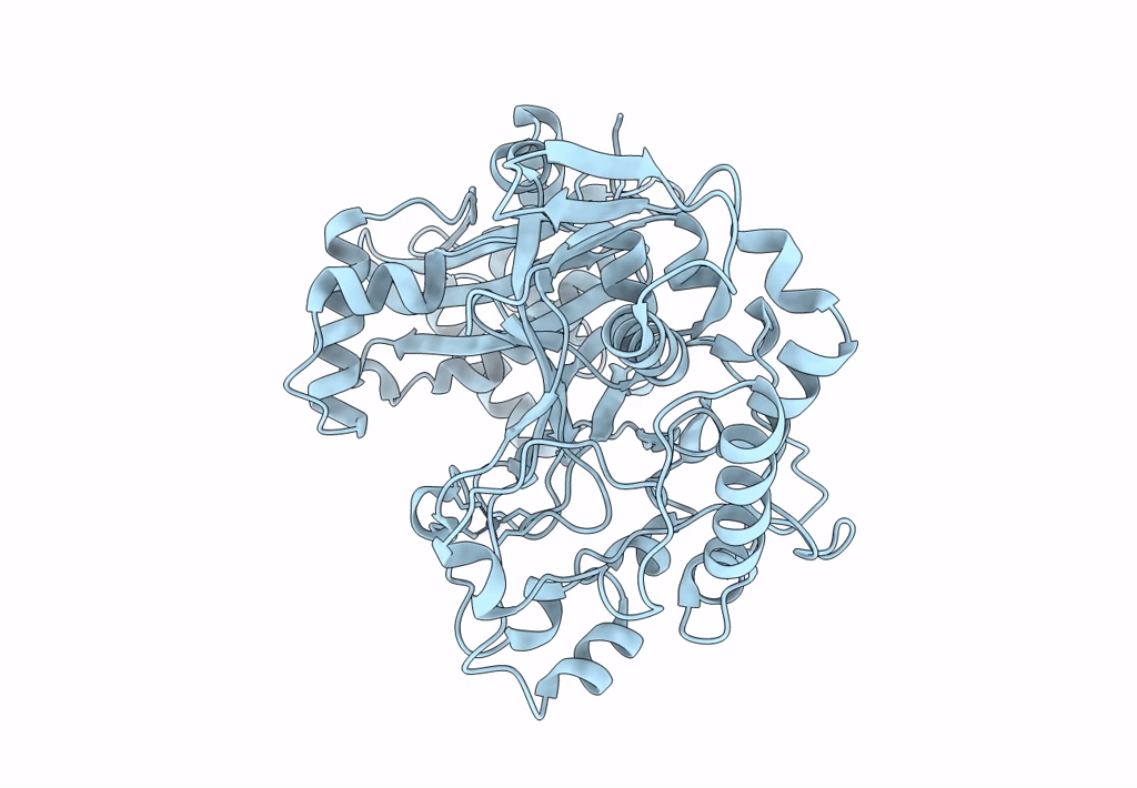 8E3S image