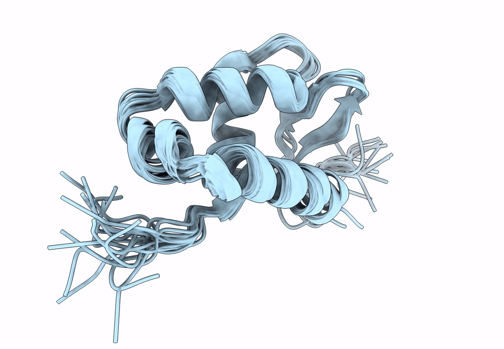 8E4V image