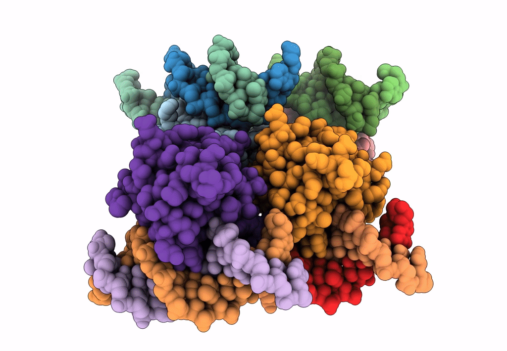 8E67 image