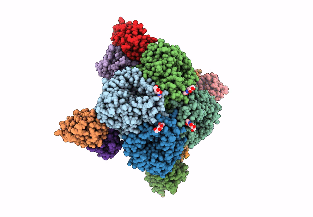 8E6K image