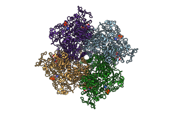 8E6S image