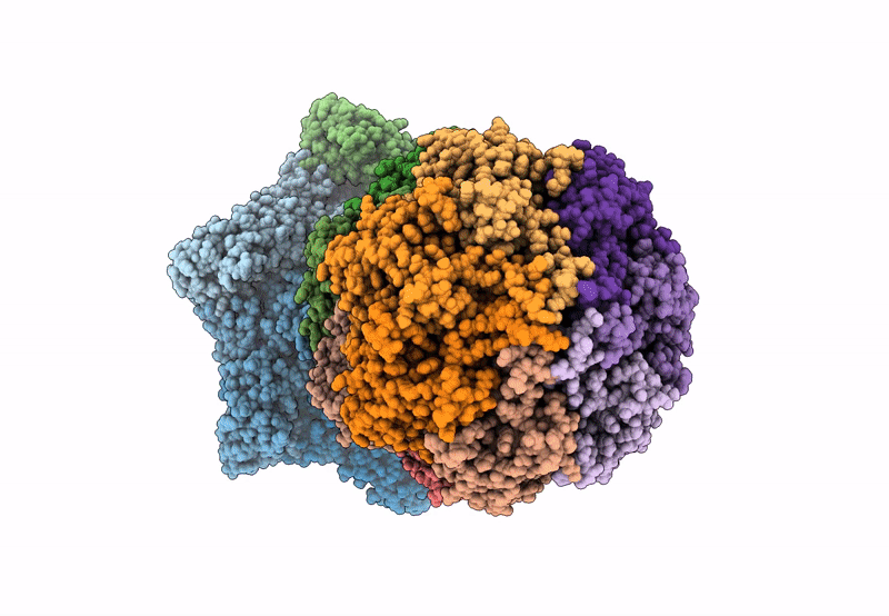 8E7V image