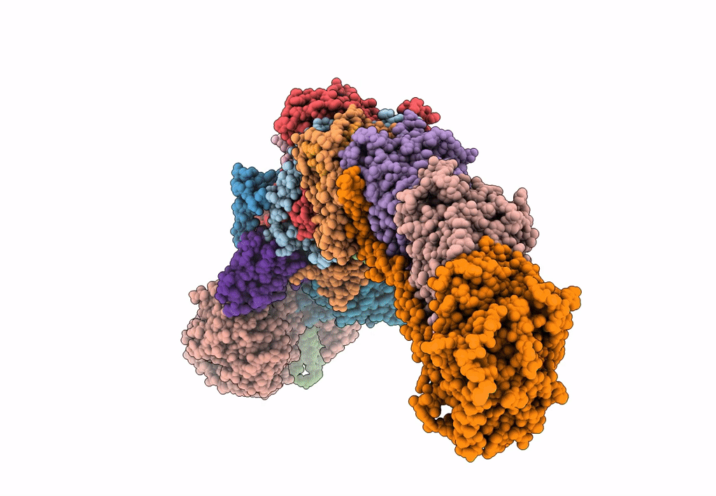 8E9G image