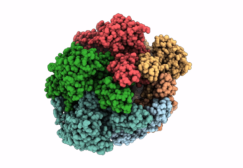 8EAM image