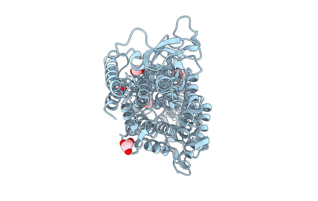 8EBF image