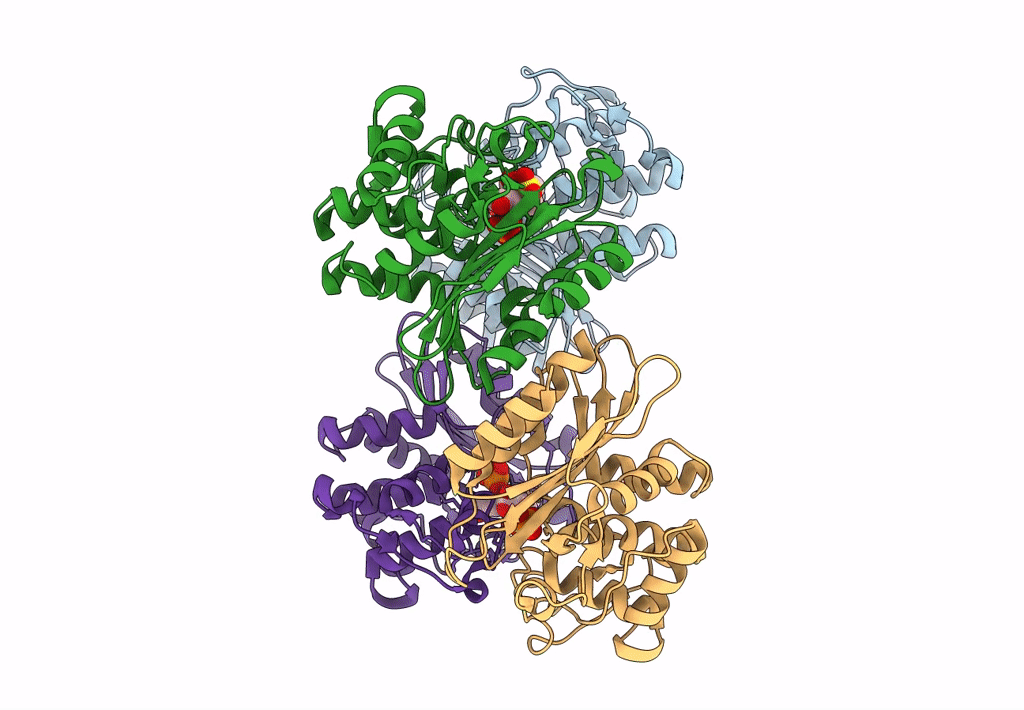 8EBI image