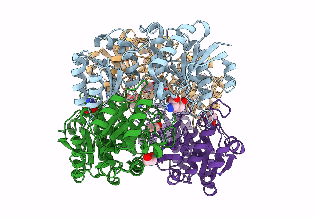 8ECE image