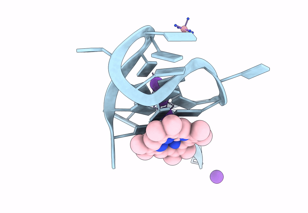 8EDP image