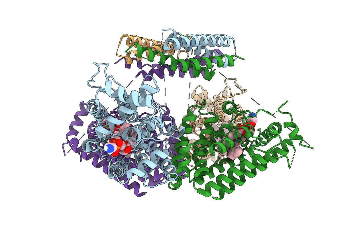 8EDV image