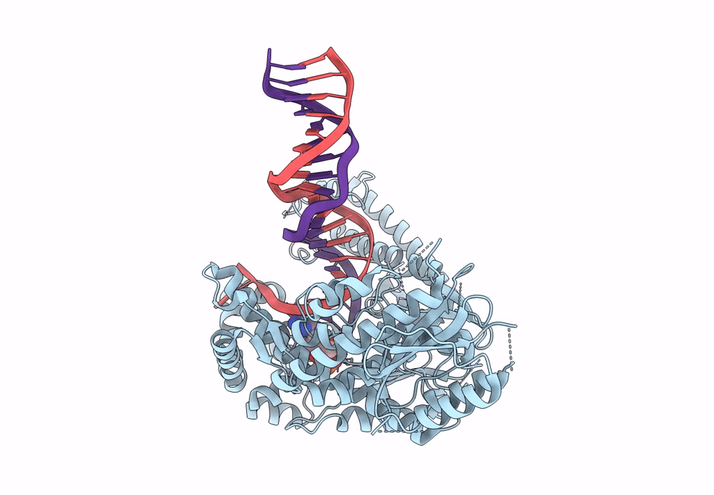 8EFC image