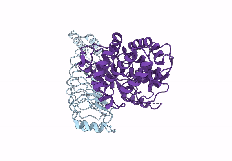 8EFP image