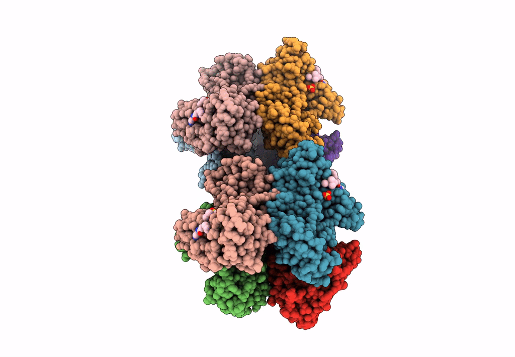 8EGM image