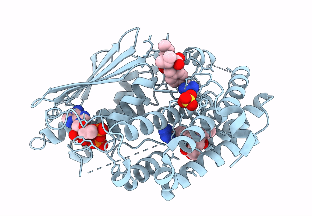 8EGU image