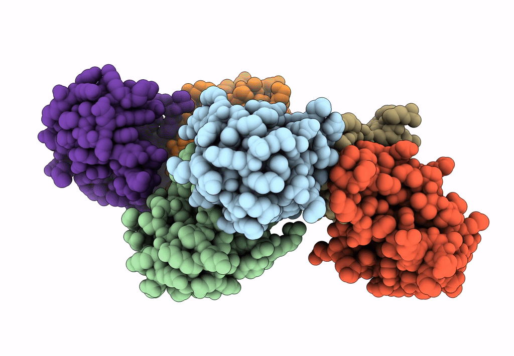 8EHB image
