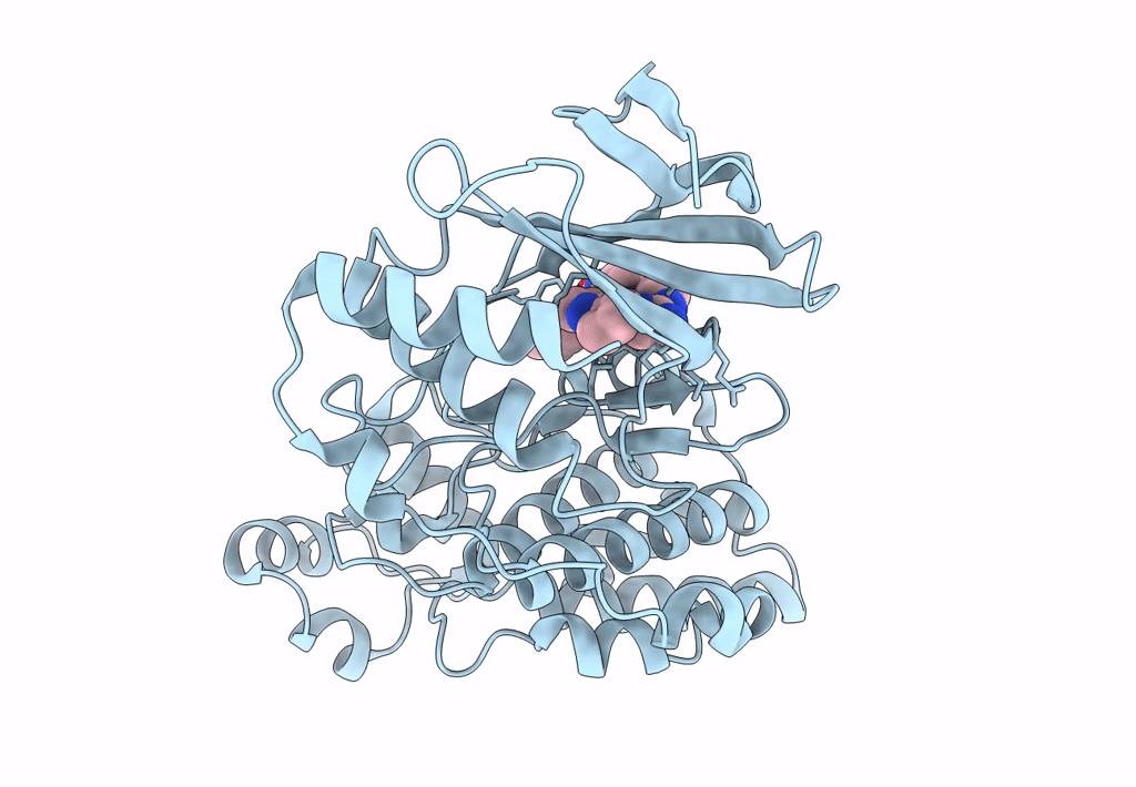 8ELC image