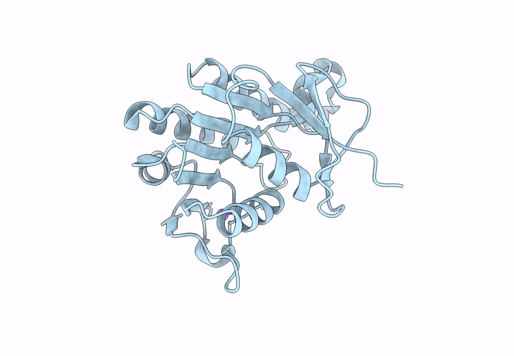 8ELM image
