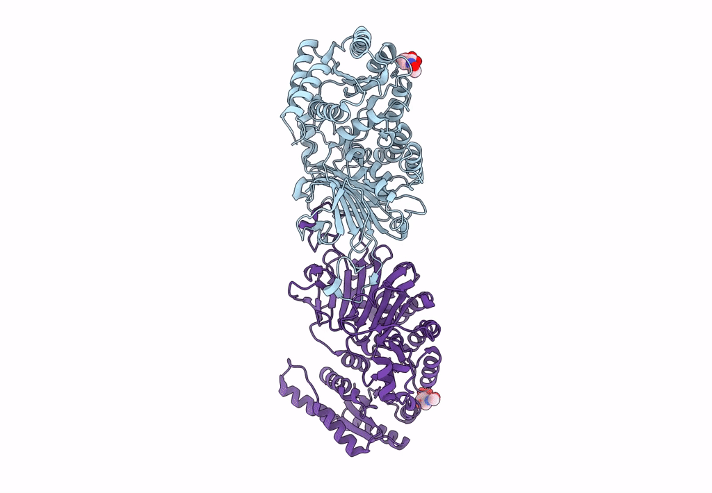 8EM2 image