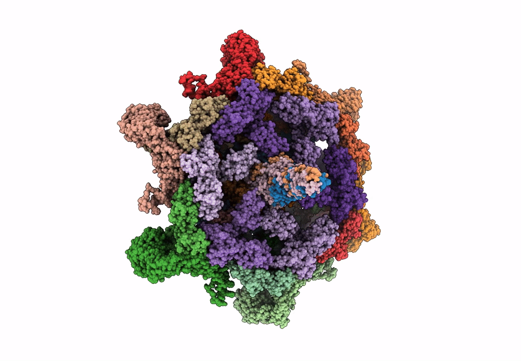 8EON image