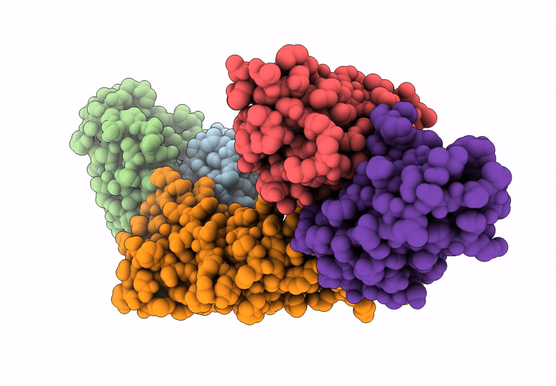 8EPA image