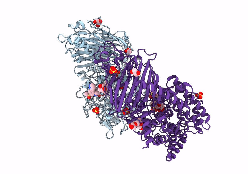 8EPR image