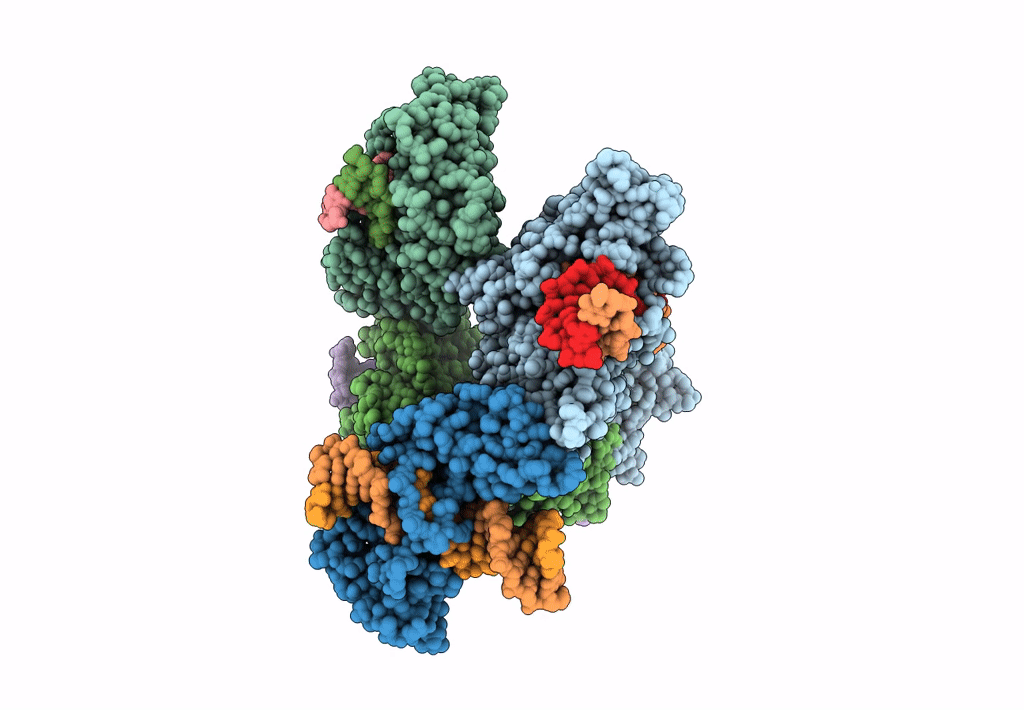 8EPX image