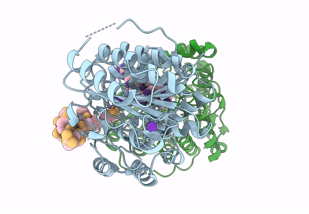 8EQI image