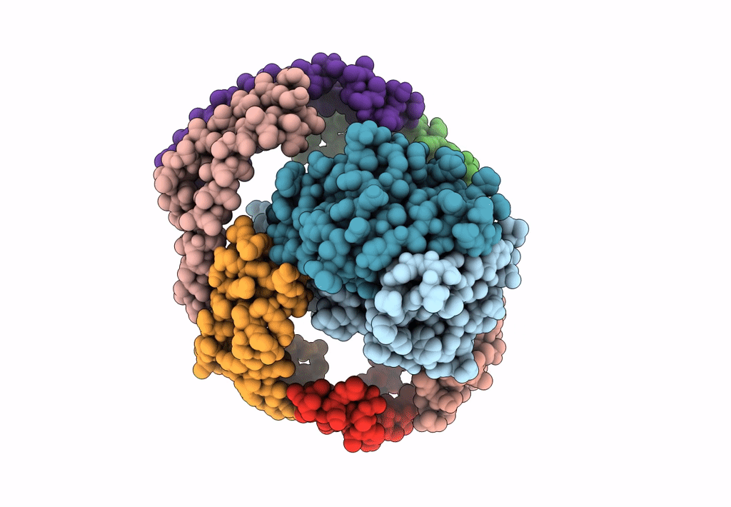 8EQU image
