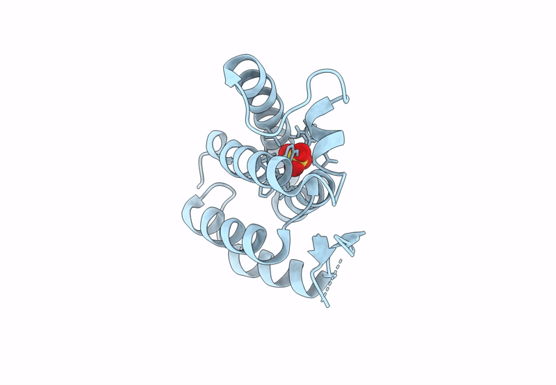8ERG image
