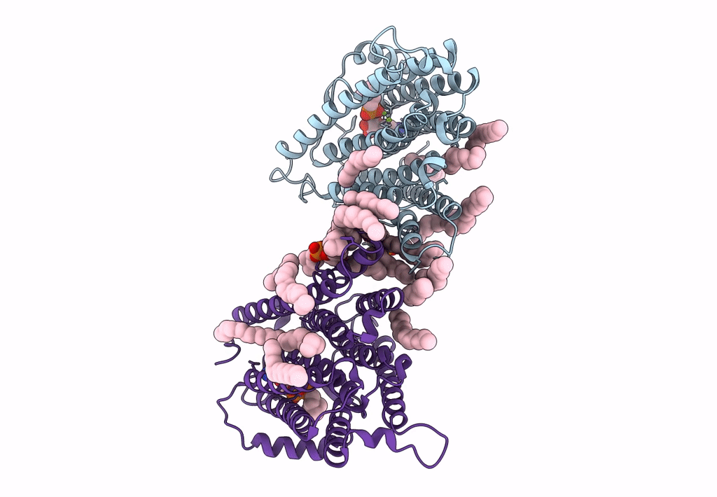 8ERP image