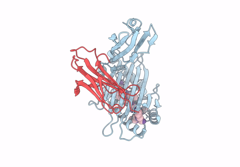 8ERX image