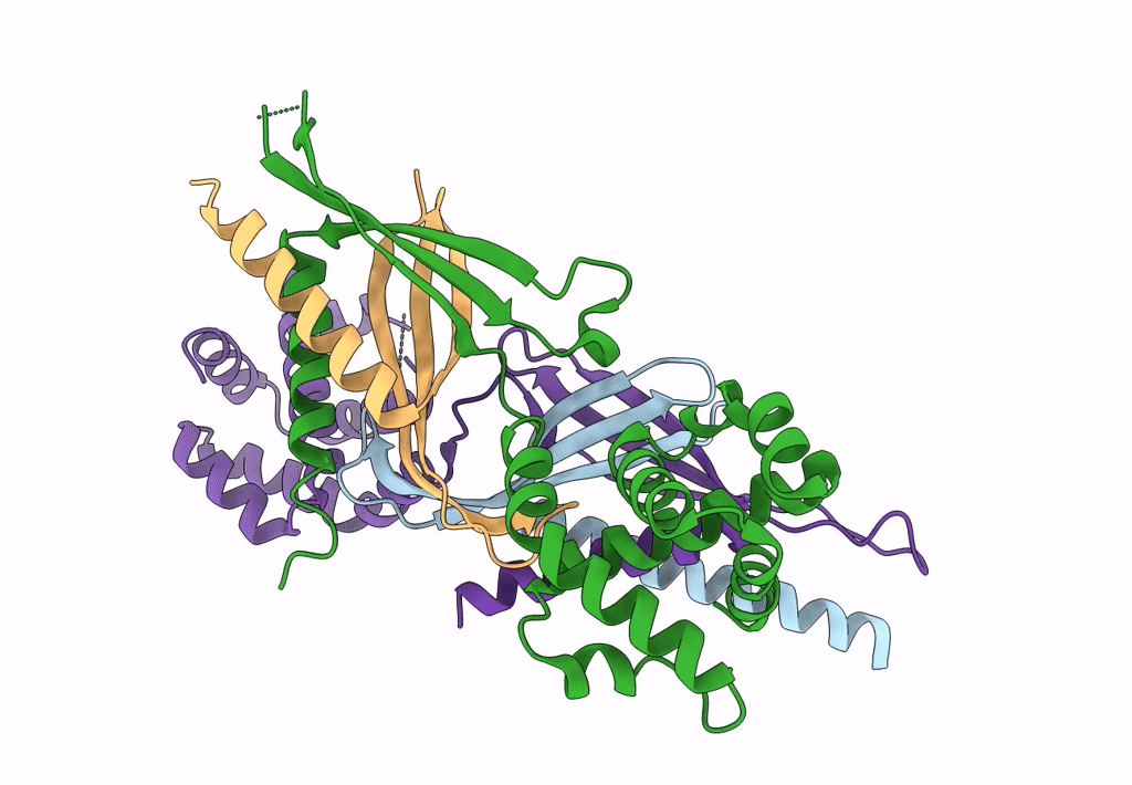 8ESD image