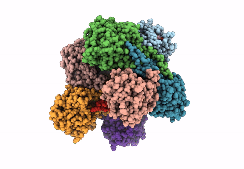 8ESI image