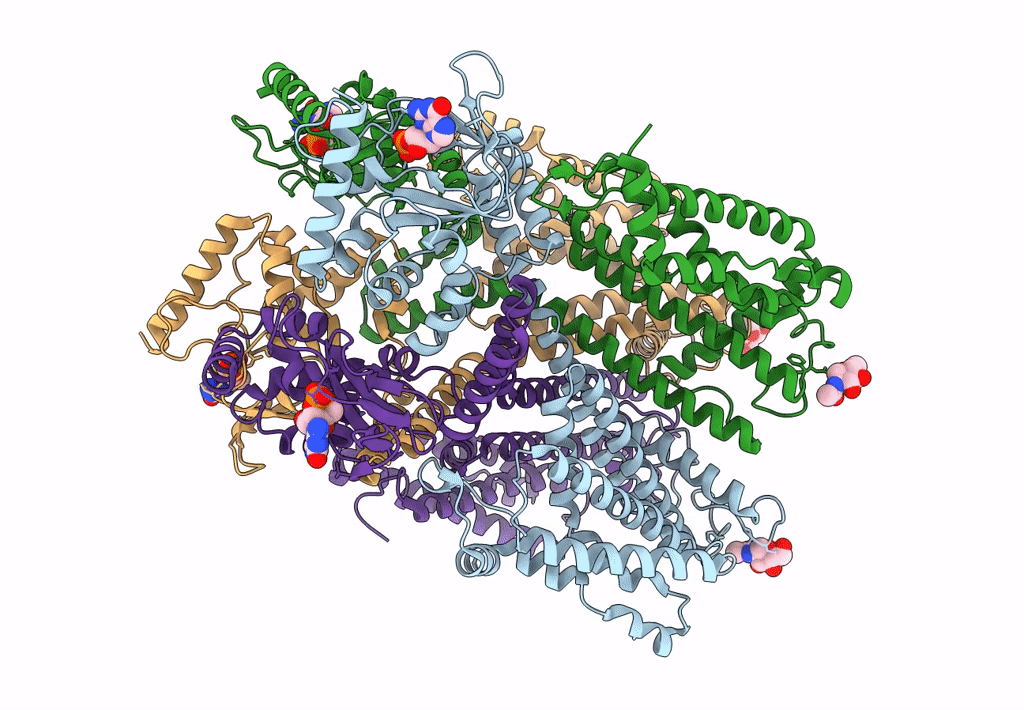 8ETP image